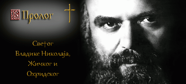 Свети Владика Николај-